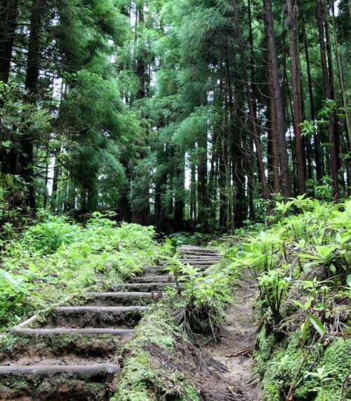 Descubre la Naturaleza de las Islas Azores