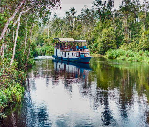 Klotok en Borneo, Viaje a Indonesia a medida - Buscomiviaje