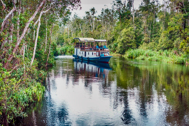 Klotok en Borneo, Viaje a Indonesia - Buscomiviaje