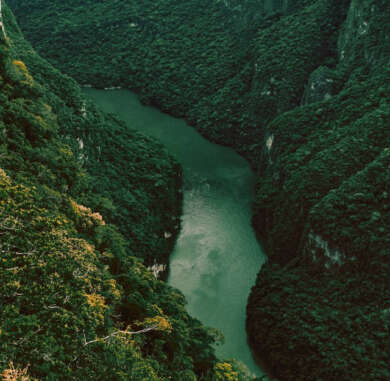 Cañón del Sumidero rodeado de naturaleza en Chiapas