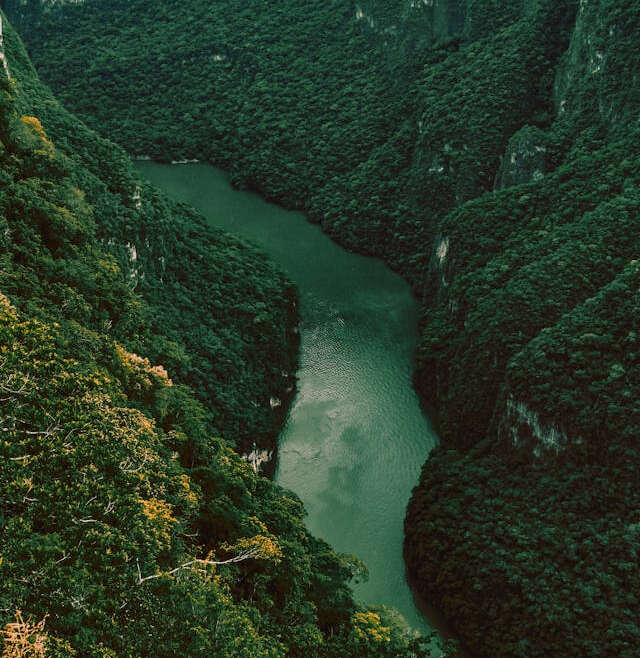 Cañón del Sumidero rodeado de naturaleza en Chiapas