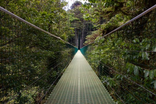 Viajes a Costa Rica-Monteverde-Buscomiviaje