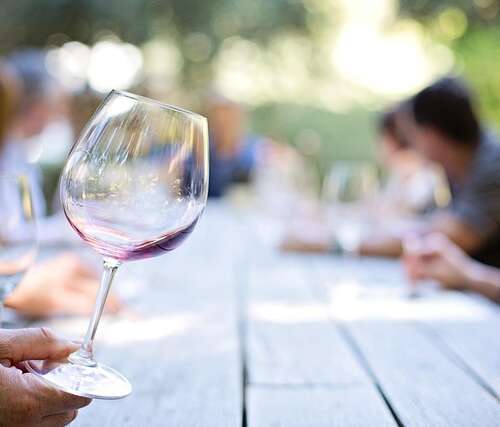viñedos y gastronomía de Chile