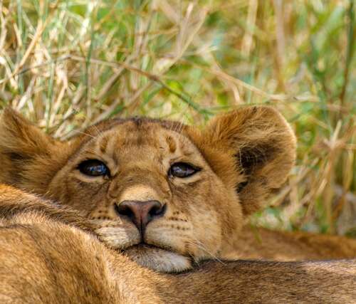 Turismo responsable en Tanzania