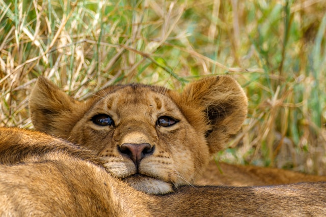 Turismo responsable en Tanzania