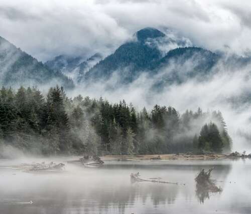 Árboles sobre un lago en Vancouver Island