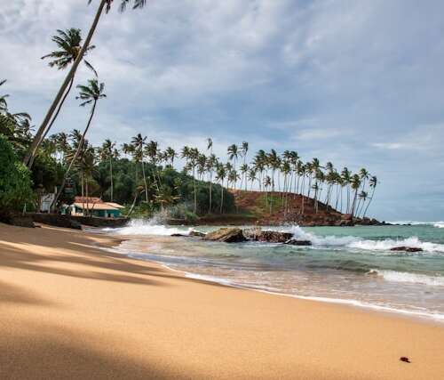 Playa de arena con palmeras en Sri Lanka