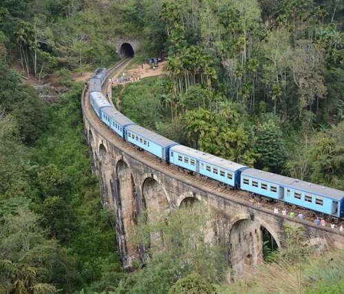 Tren entre plantaciones de té en Sri Lanka