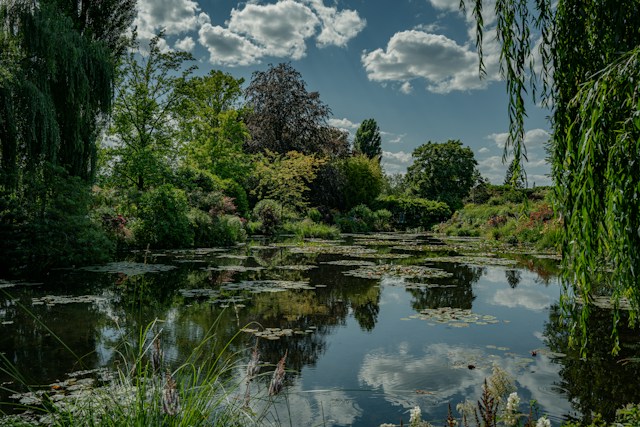 Jardín con encanto en una ruta por Normandía