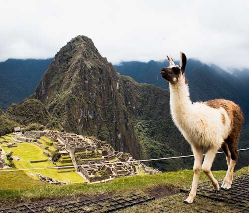 Naturaleza en Machu Picchu en una viaje a medida a Perú y Bolivia